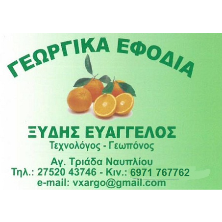 ΞΥΔΗΣ ΕΥΑΓΓΕΛΟΣ